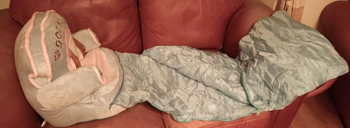 Dog House Child's Chair (new). - Image 4