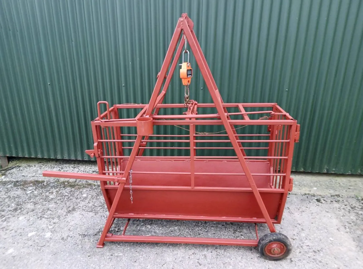 Sheep weighing Scales/Crate - Image 2
