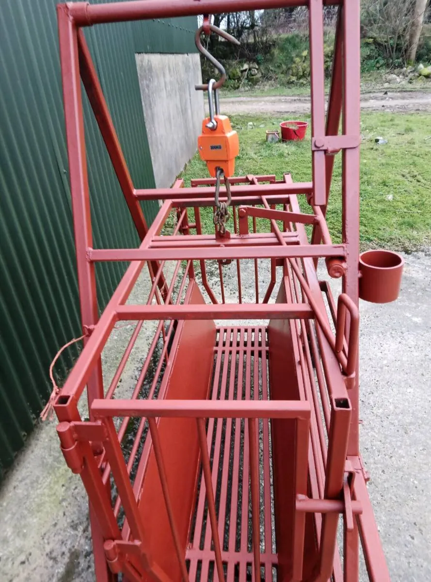 Sheep weighing Scales/Crate - Image 4