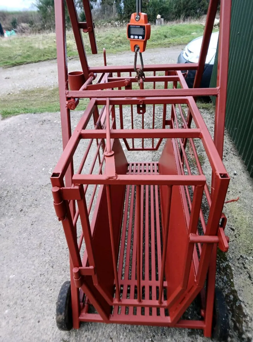 Sheep weighing Scales/Crate - Image 1