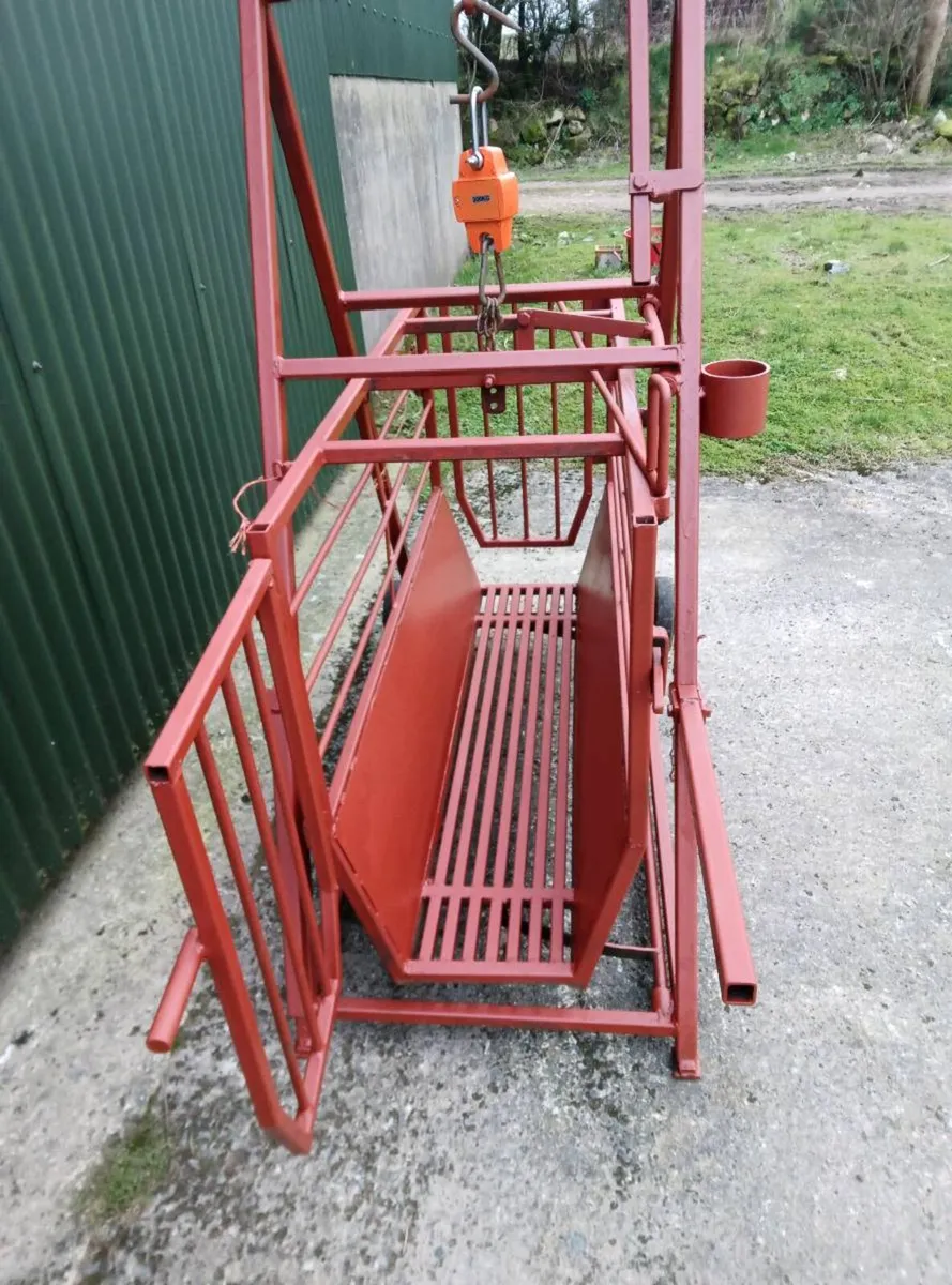 Sheep weighing Scales/Crate - Image 3