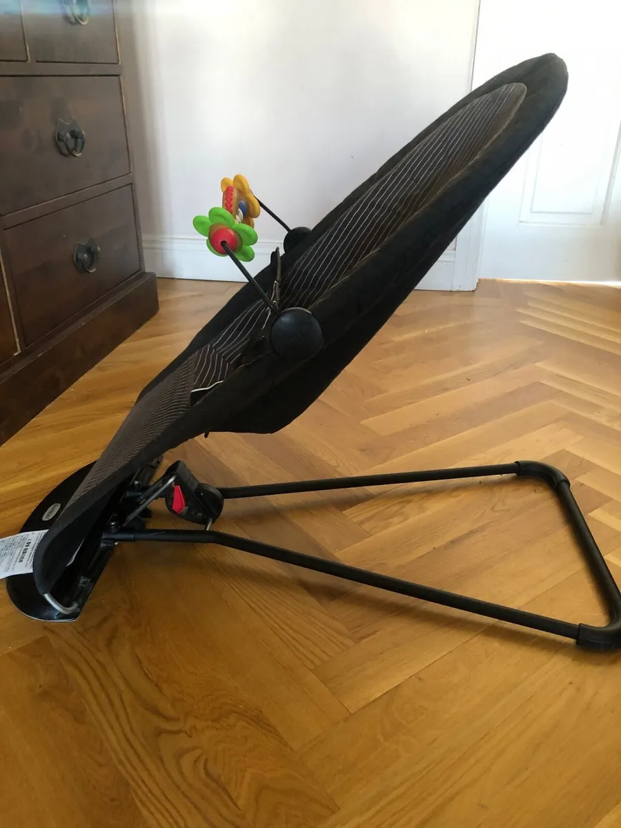 Babybjorn bouncer - Image 2