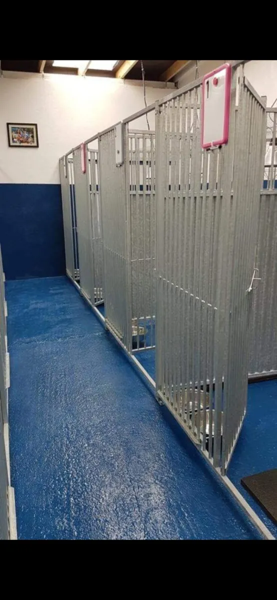 Industrial garage floor paints - Image 3