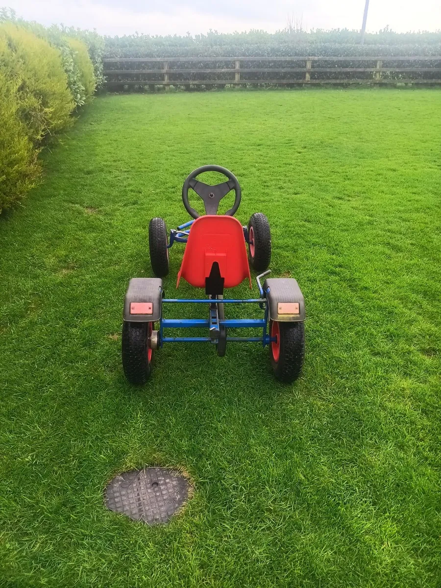 Berg go Kart - Image 4