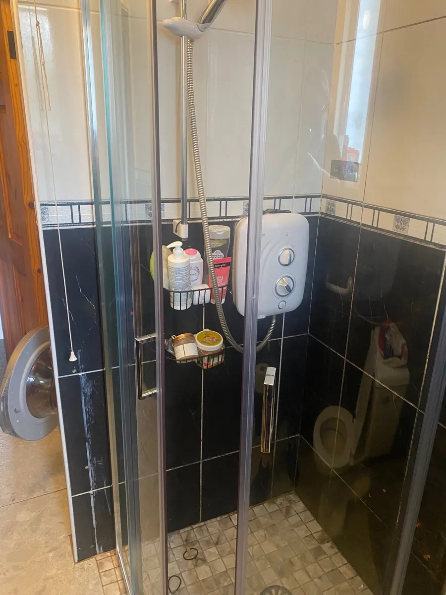 Shower door - Image 2