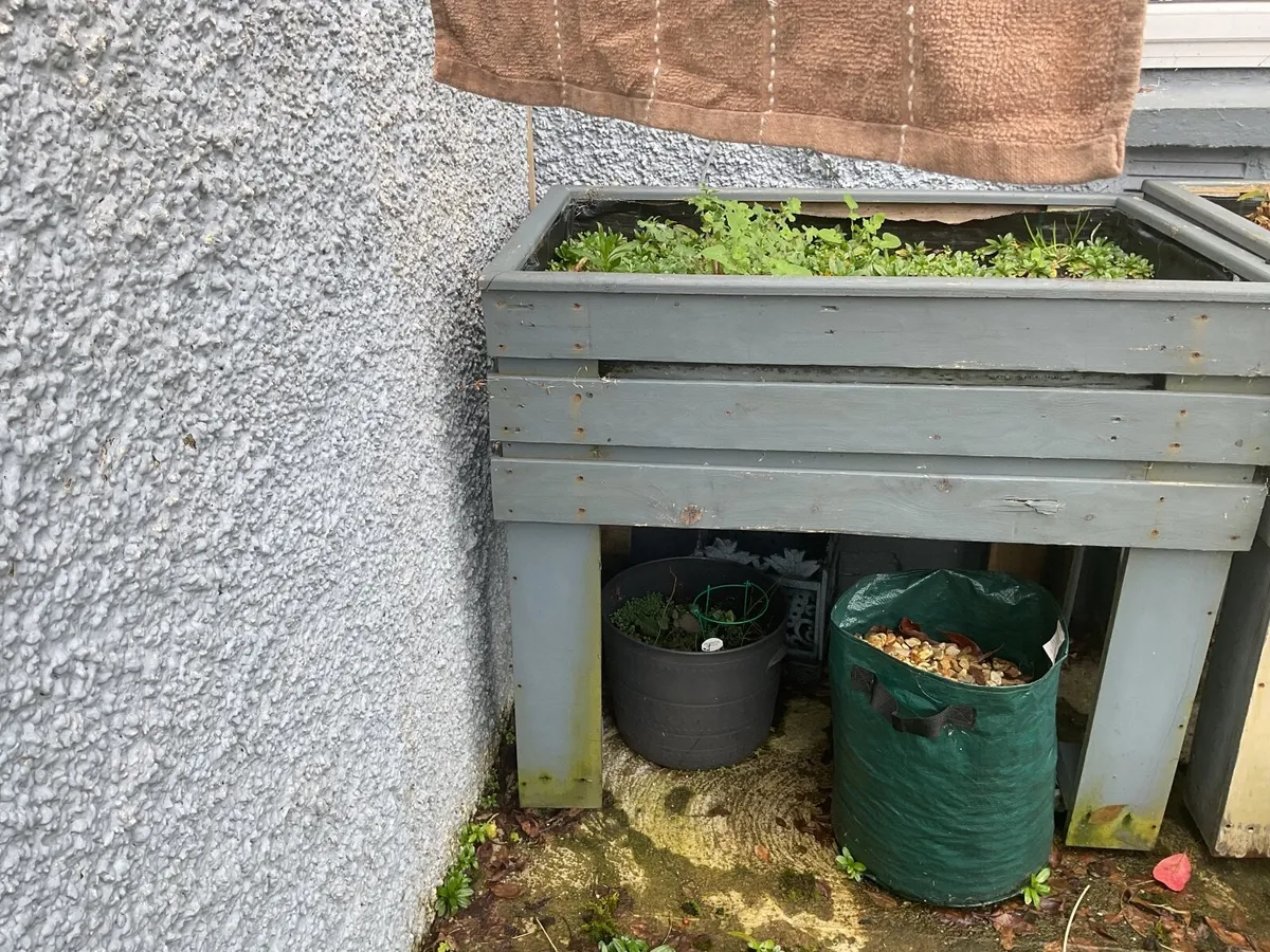 Growing flowers or vegetables trolley - Image 2