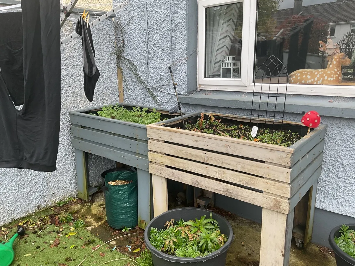 Growing flowers or vegetables trolley - Image 1