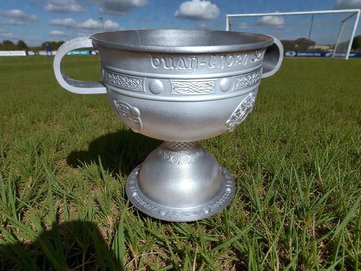 Bespoke Sam Maguire Trophy, GAA Memorabilia - Image 4