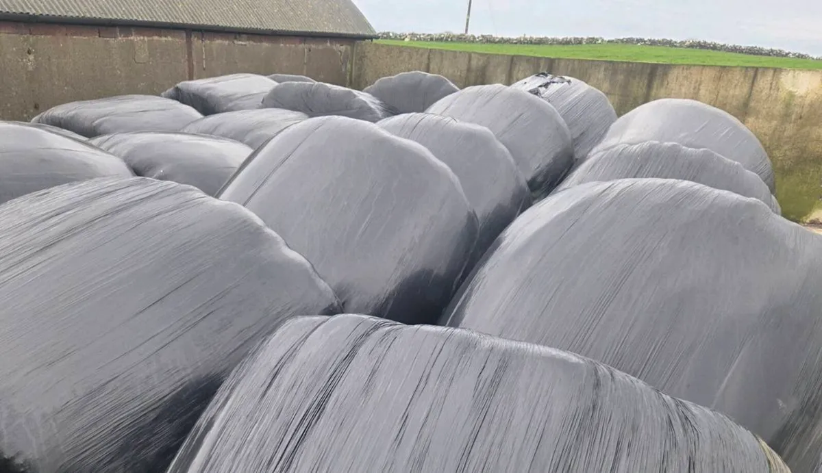 Silage Bales - Image 3