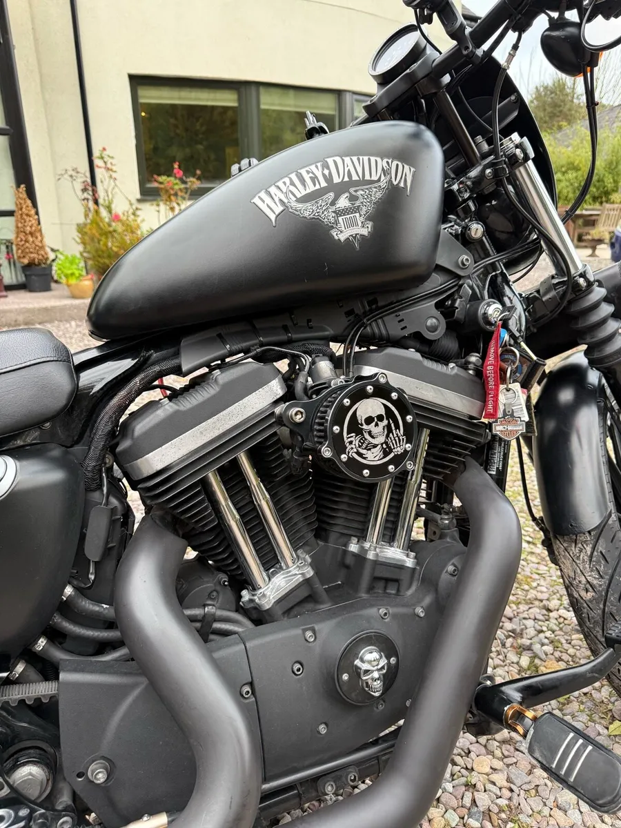 Harley Davidson XL883 Iron - Image 4