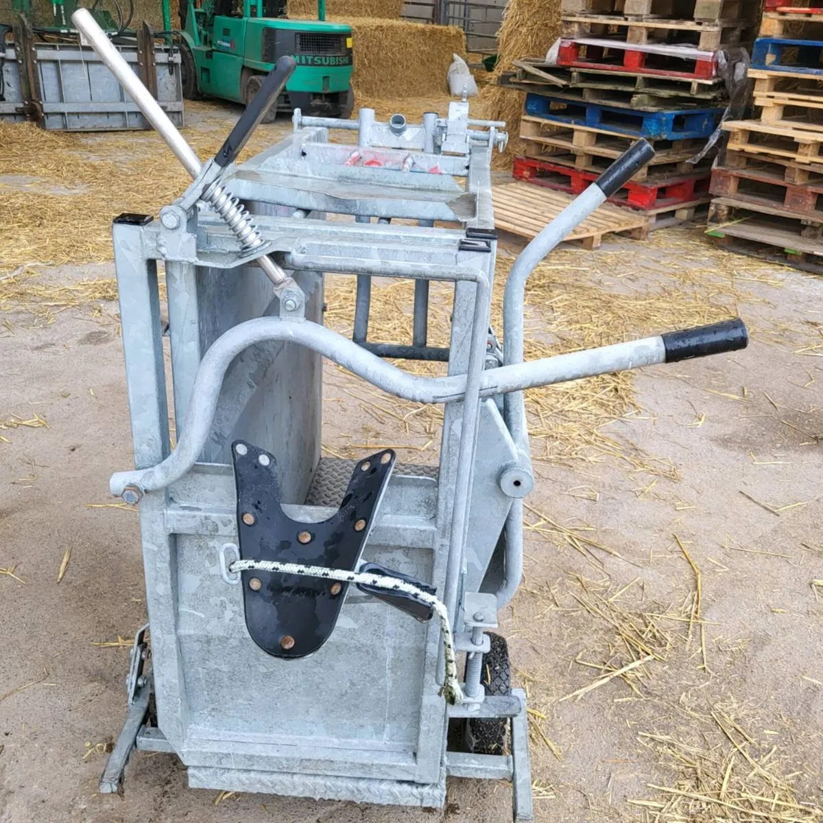 Dehorning crate - Image 2