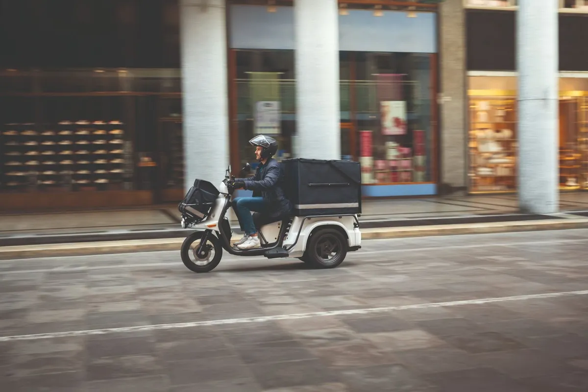 3 Wheel eScooter and Electric Utility Vehicle - Image 2