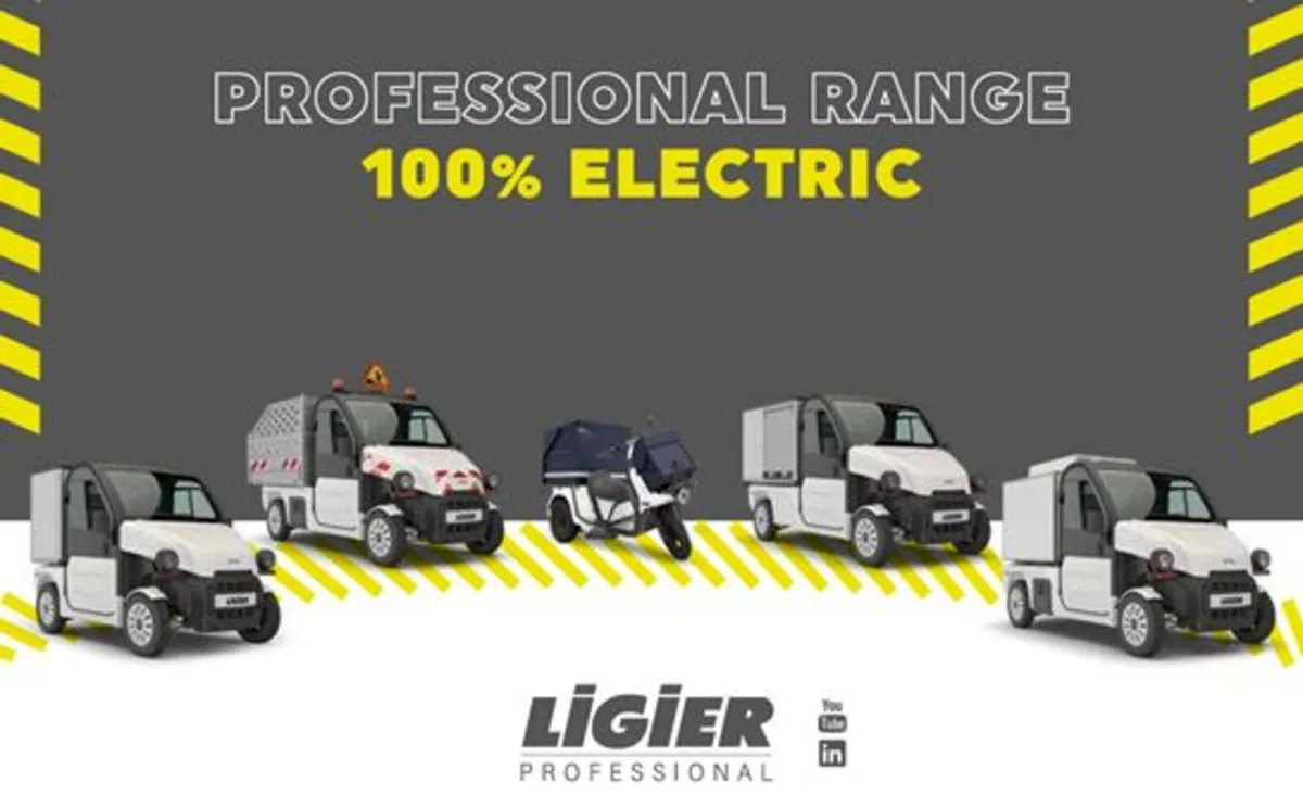 3 Wheel eScooter and Electric Utility Vehicle - Image 1