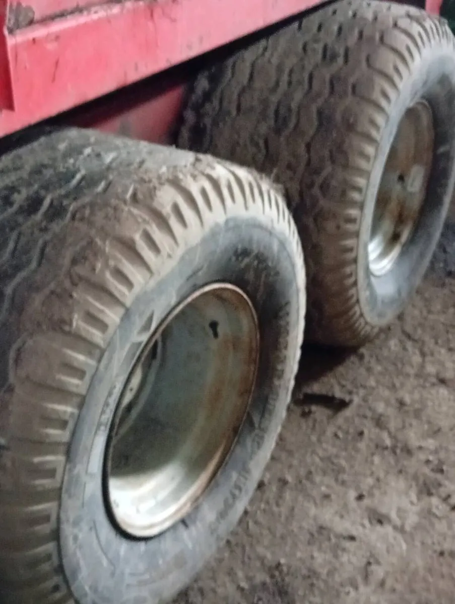 Zero grazer - Image 4