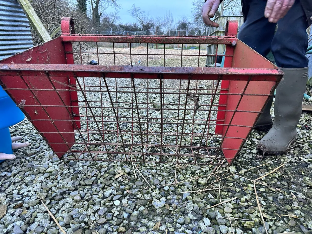 Farming Feeding Equipment for calves/sheep - Image 4