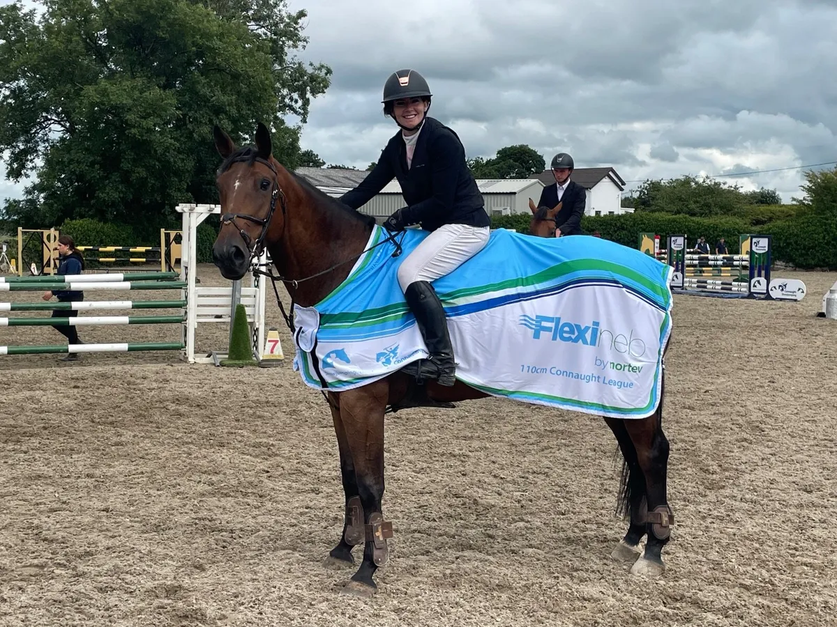 Competitive 1:10/1:20 horse for sale - Image 1