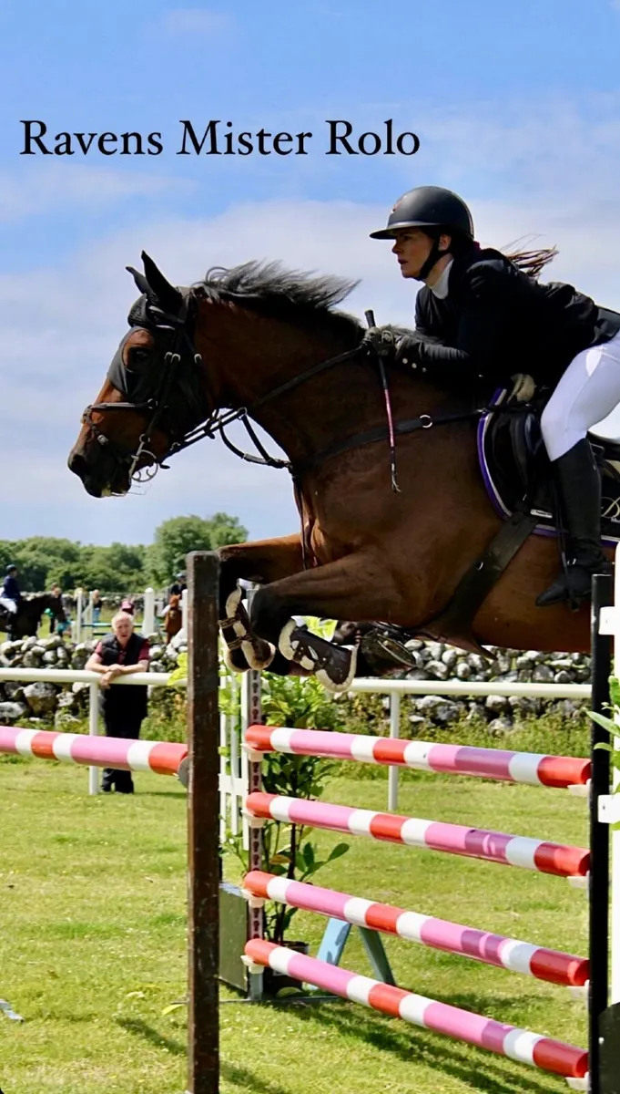 Competitive 1:10/1:20 horse for sale - Image 4