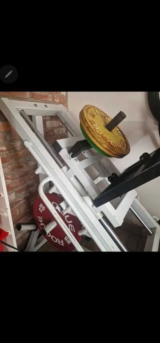 Leg Press/ Hack Squat - Image 1