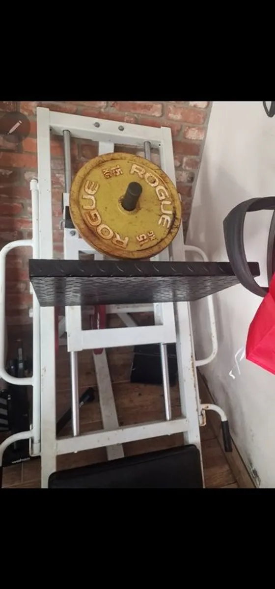 Leg Press/ Hack Squat - Image 2