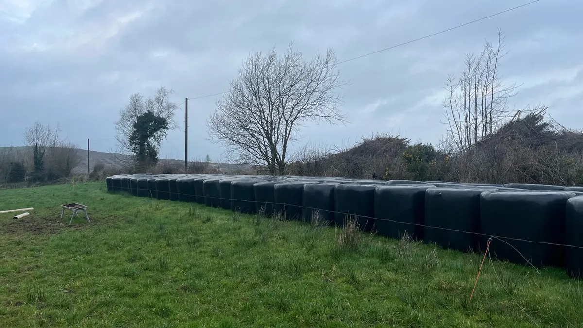 Top quality silage - Image 1