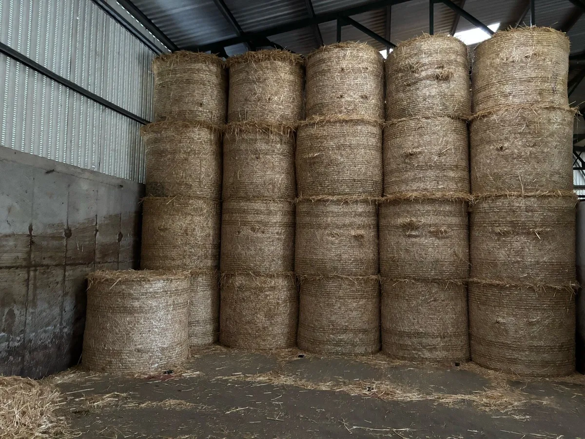 200 bales of barley straw