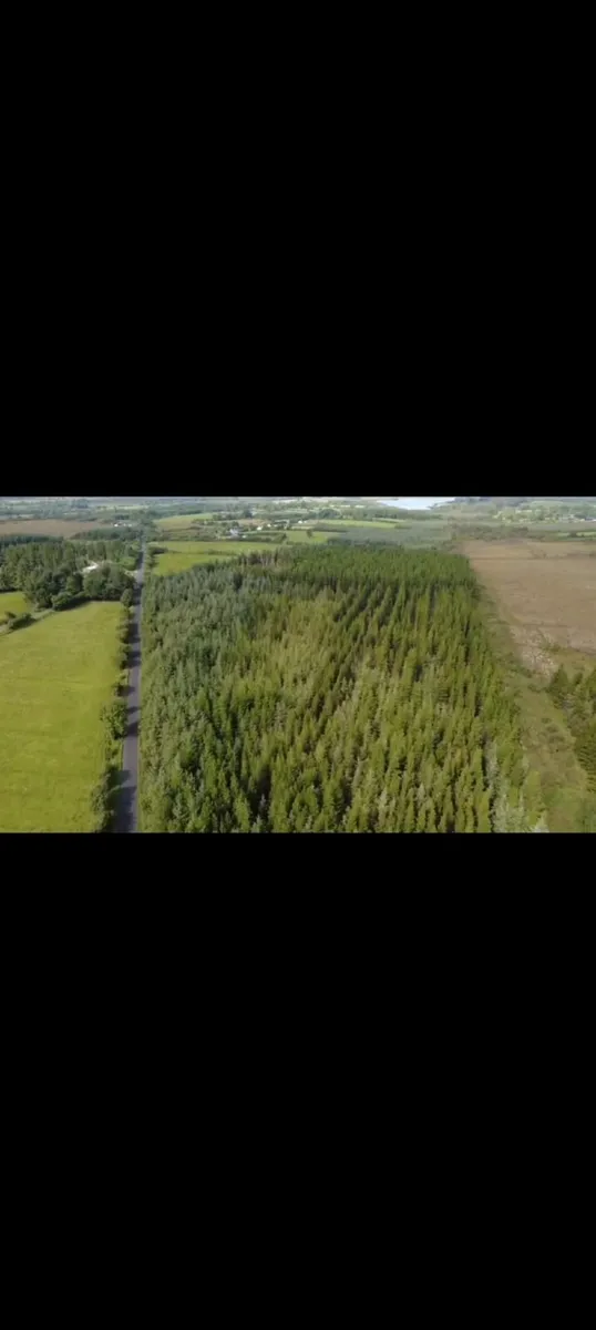 Forestry for sale - Image 1