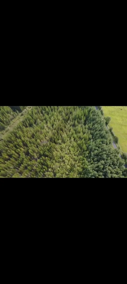 Forestry for sale - Image 3