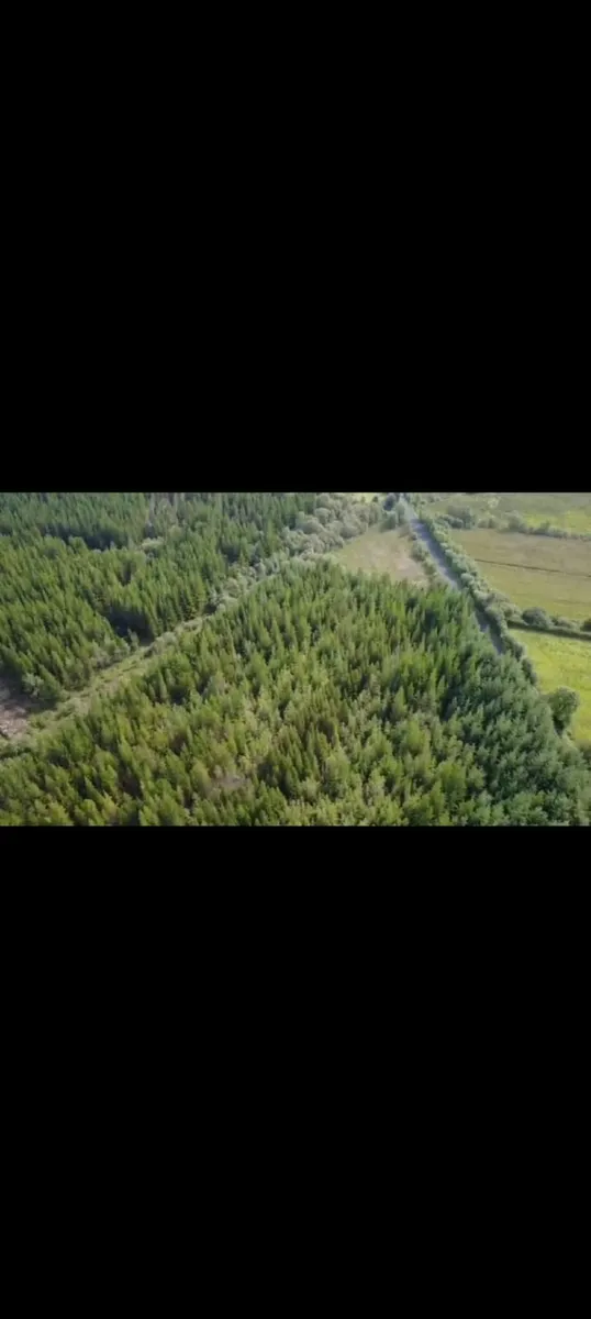 Forestry for sale - Image 2