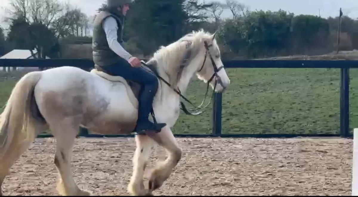 👻Casper👻 - Image 3