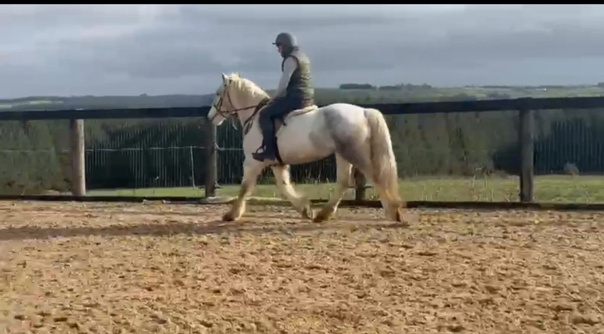 👻Casper👻 - Image 4