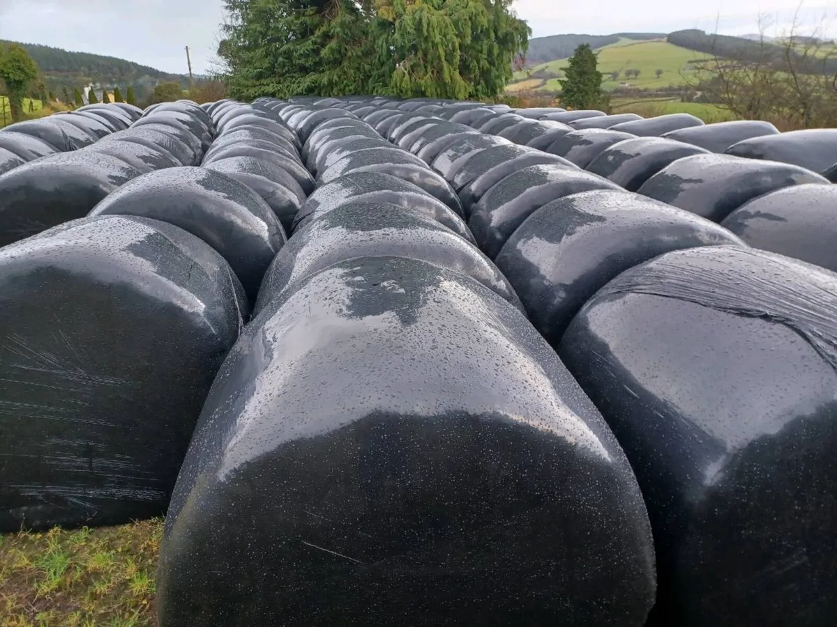 Silage bales - Image 1