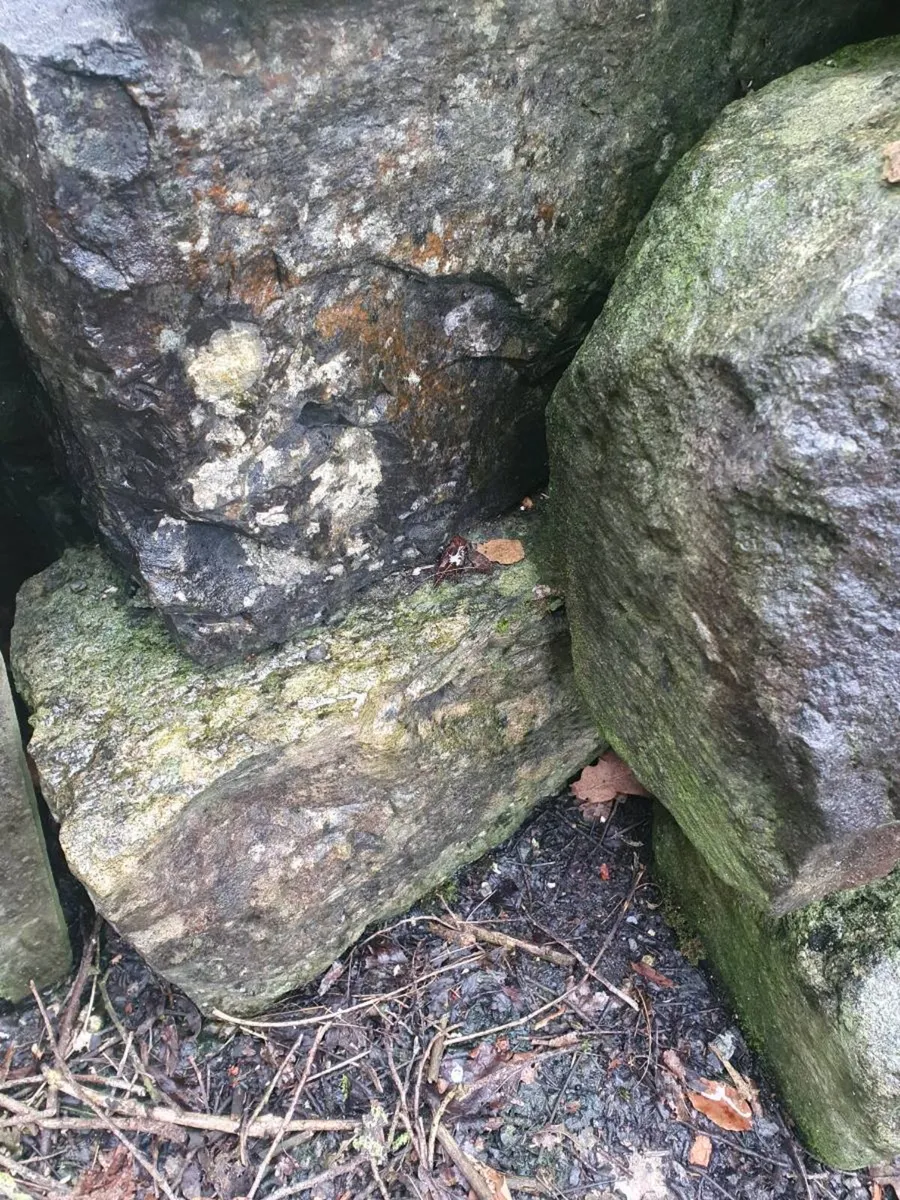 Salvage stone and tile - Image 3