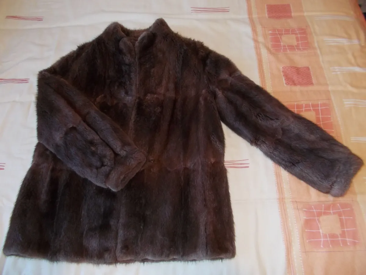 Musquash Jacket size 12-14 Good Quality - Image 1