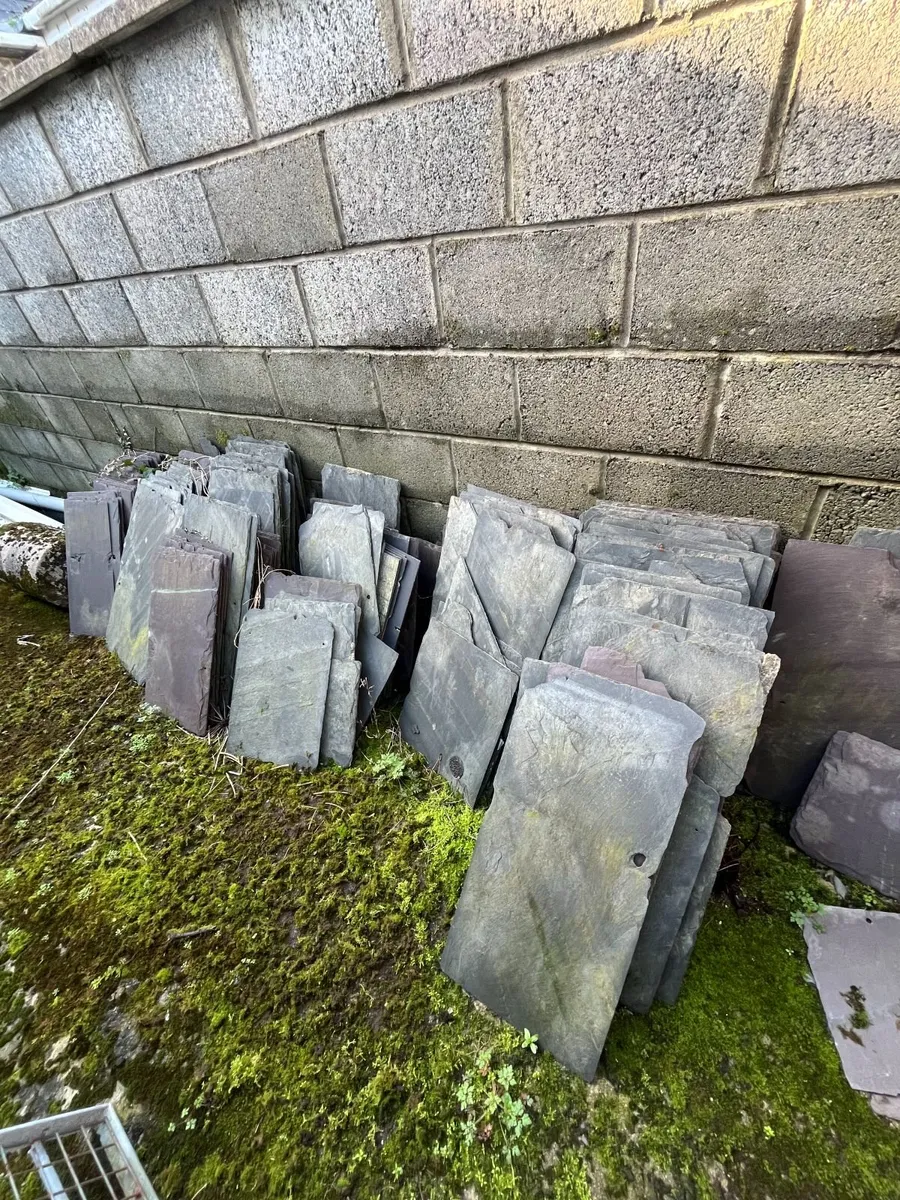 Mixed Slates and Ridge Tiles - Image 1