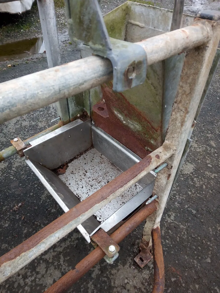 Pig Sow Crates - Image 2