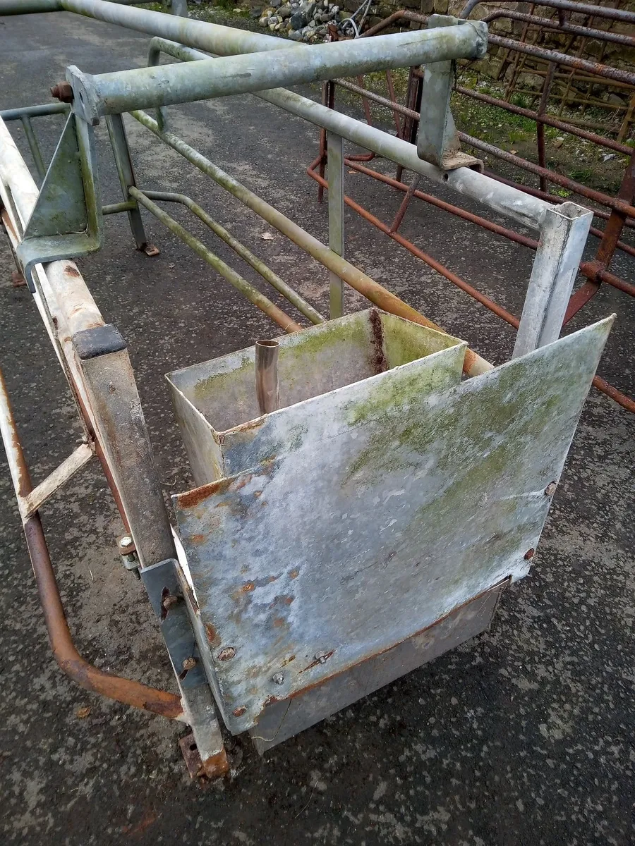 Pig Sow Crates - Image 4