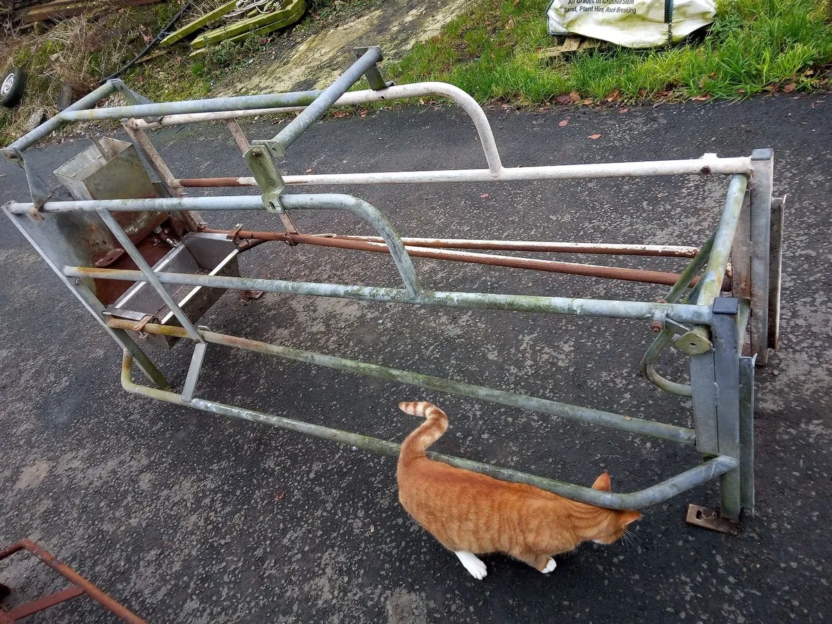 Pig Sow Crates - Image 1