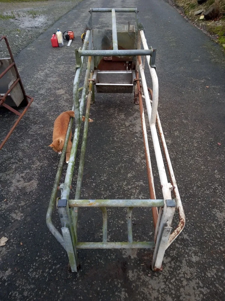 Pig Sow Crates - Image 3