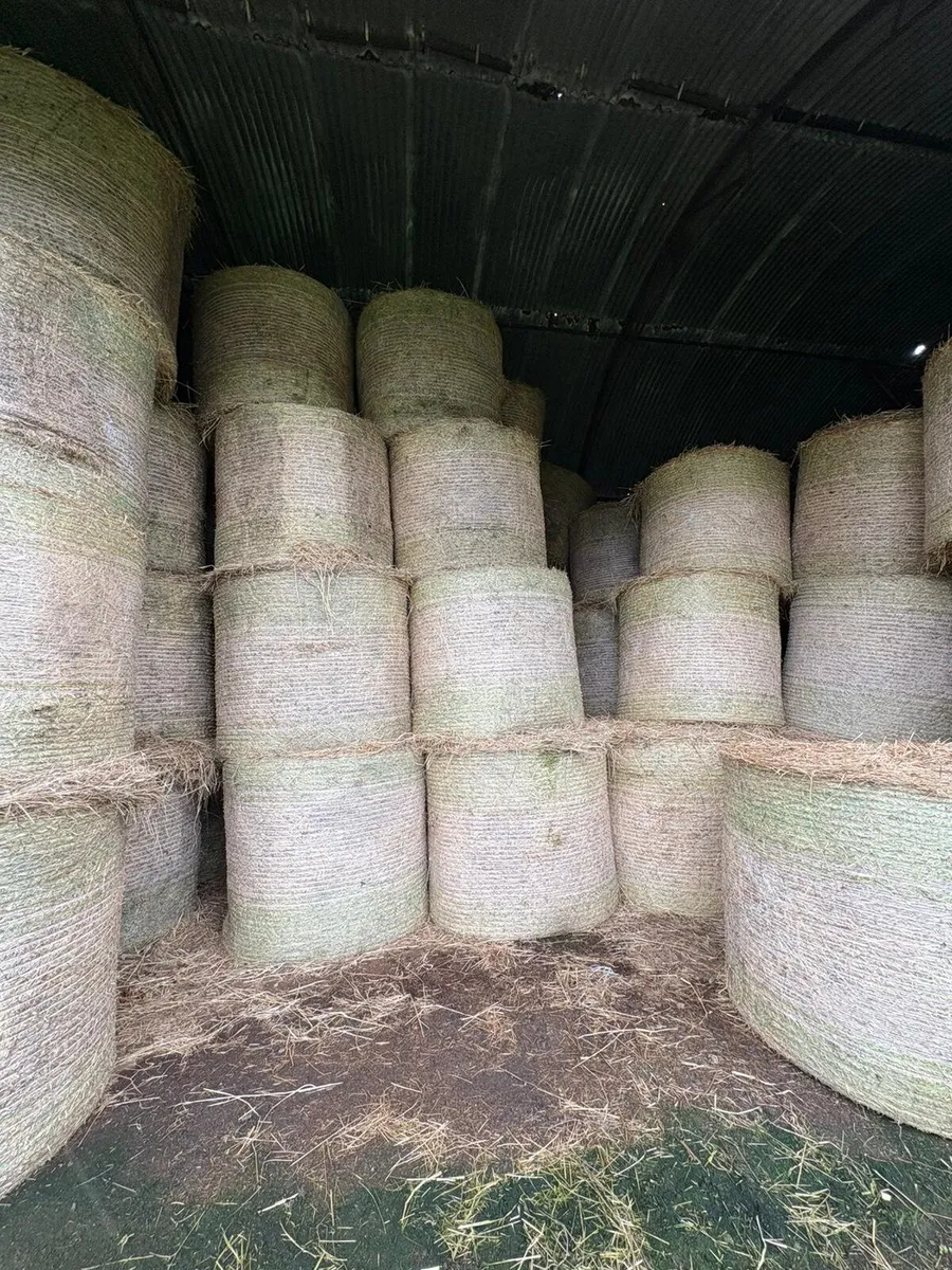 Callow hay for sale