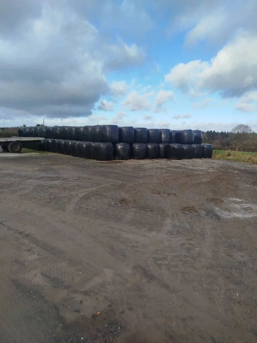 Haylage Bales for Sale - Image 2