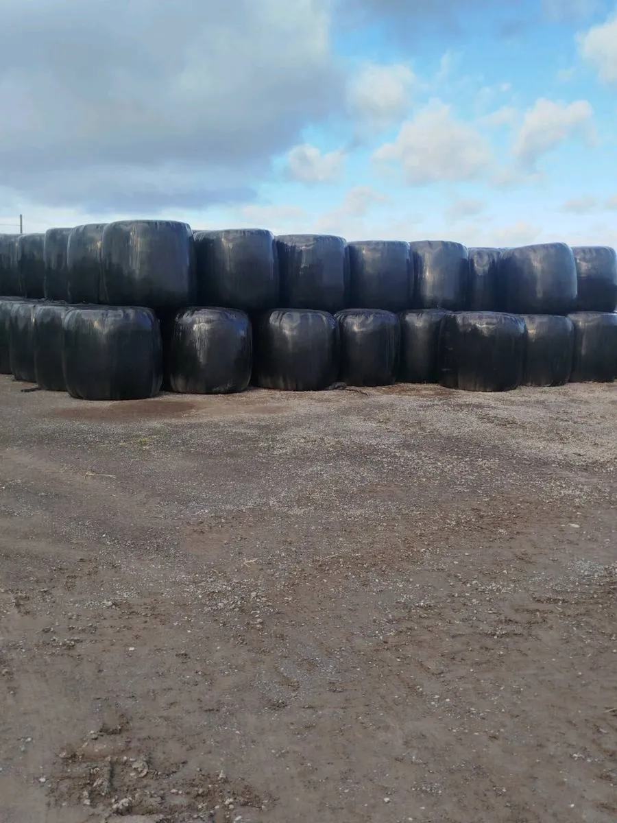 Haylage Bales for Sale - Image 1