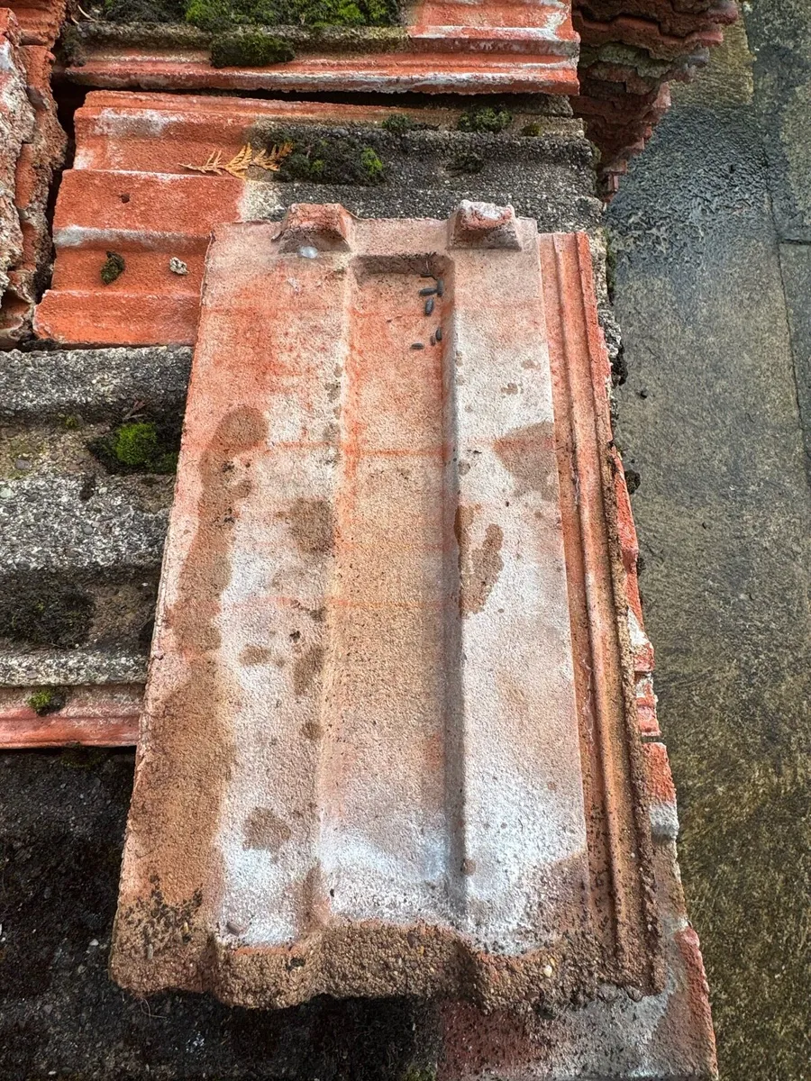 Roof tiles - Image 3