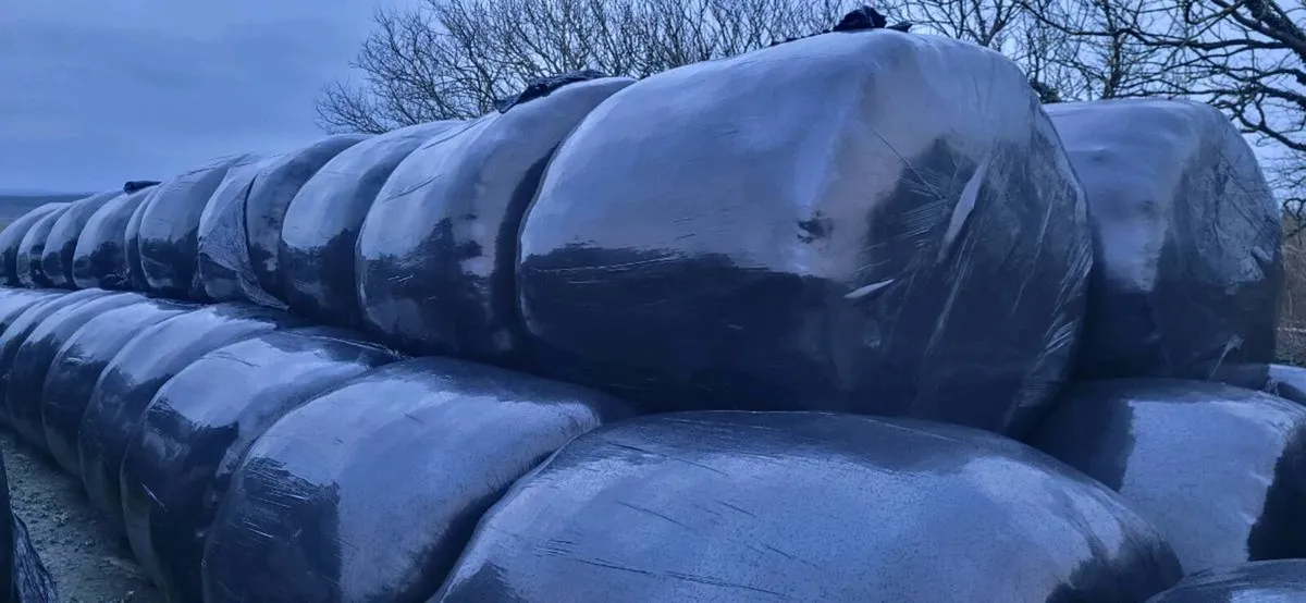 Silage Bales - Image 1