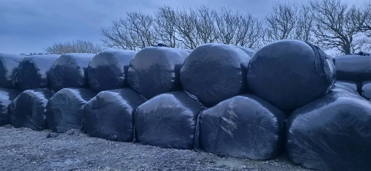 Silage Bales - Image 2