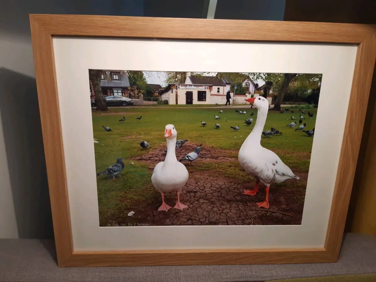 The Lough, Cork - Image 1