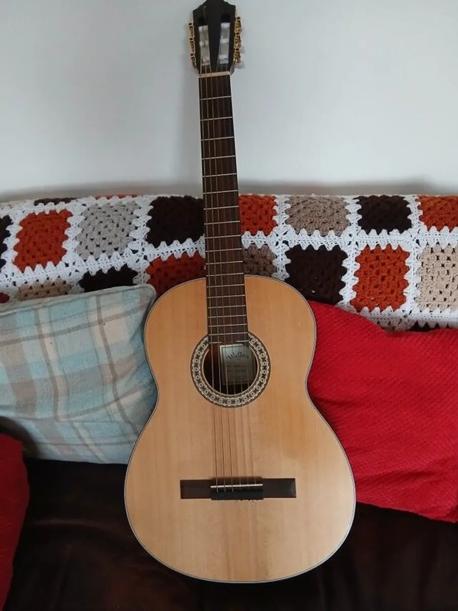 Walden N550E Classical Guitar - Image 1