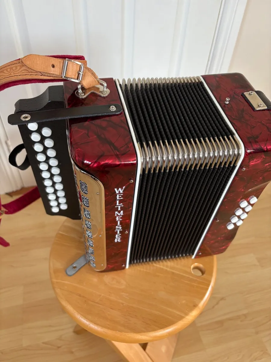 Button  Accordion - Image 4