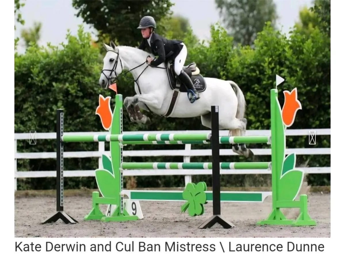 Top Performance Stallions at Stud - Image 1