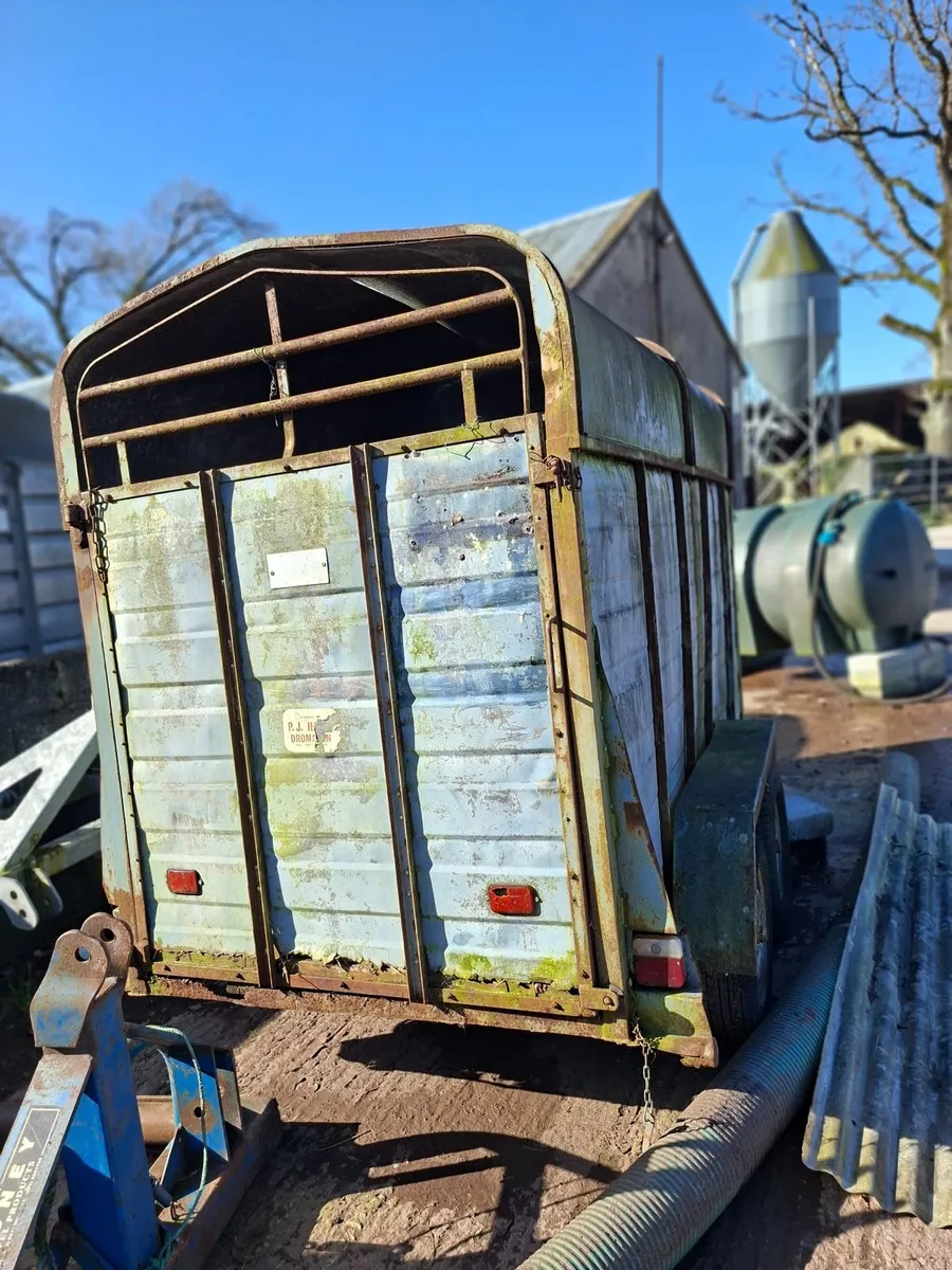 Cattle Trailer - Image 3
