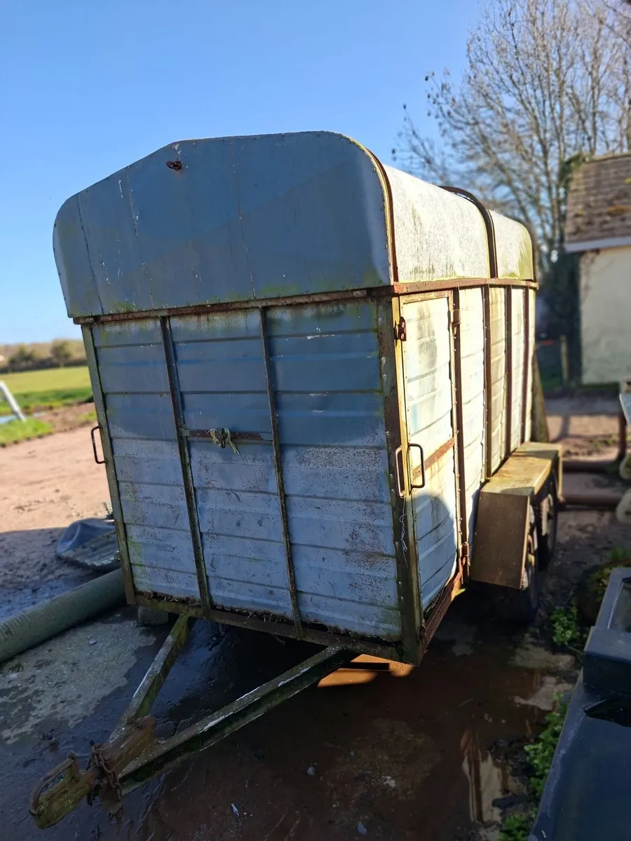 Cattle Trailer - Image 2